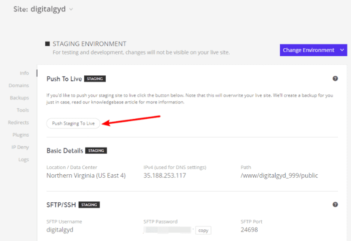 Kinsta hosting staging interface review